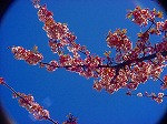 DSC01309.jpg
