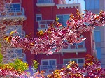 DSC01311.jpg