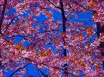 DSC01315.jpg