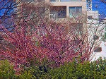 DSC01318.jpg
