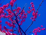 DSC01324.jpg