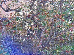 DSC01340.jpg