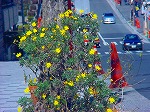 DSC01342.jpg