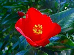 DSC00011.jpg
