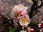 DSC00014.jpg