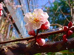 DSC00016.jpg