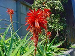 DSC00021.jpg