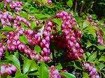 DSC00025.jpg