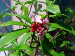 DSC00027.jpg