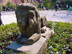 DSC00028.jpg