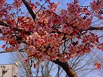DSC00032.jpg