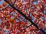 DSC00033.jpg