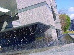 DSC00045.jpg