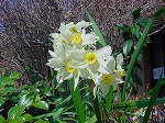 20080313b034.jpg