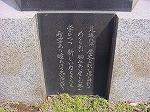 20080313b037.jpg