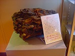 20080313b047.jpg