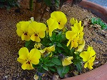 20080313b056.jpg