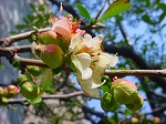 20080313b057.jpg