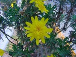 20080313b065.jpg