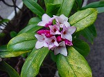 20080313b066.jpg