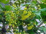 20080313b070.jpg