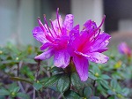 20080313b077.jpg
