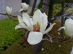 20080314Y003.jpg