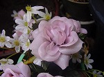 20080314Y028.jpg
