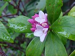 20080314Y029.jpg