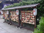 20080314Y040.jpg