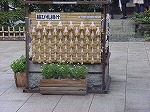 20080314Y041.jpg