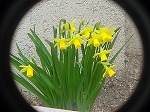 20080314Y055.jpg