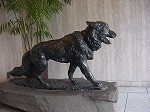 20080317fb01.jpg