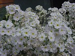 20080317fb02.jpg