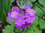 20080317fb03.jpg
