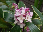 20080317fb04.jpg