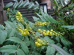 20080317fb05.jpg