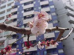 20080317fb06.jpg