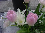 20080317fb07.jpg