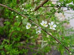 20080317fb08.jpg