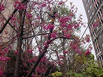 20080317fb09.jpg