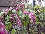 20080317fb12.jpg