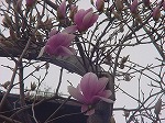 20080317fb14.jpg