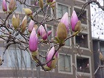 20080317fb17.jpg
