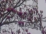 20080317fb20.jpg