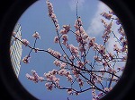 20080318tr012.jpg
