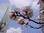 20080318tr020.jpg