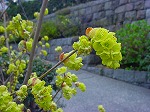 20080318tr032.jpg
