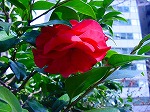 20080318tr038.jpg