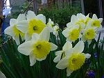 20080318tr043.jpg